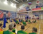 Тренеры и специалисты спорта лиц с поражением ОДА приняли участие в обучении по дополнительной профессиональной программе повышения квалификации «Спортивно-функциональная классификация в волейболе сидя»