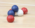 Алексин с 16 по 22 апреля принимает чемпионат России по бочча